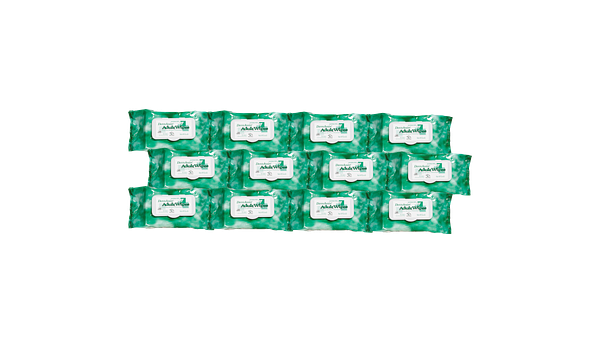 Derm Assist Adult Wipes Softpack, 50 Per Package (12 Per Case)
